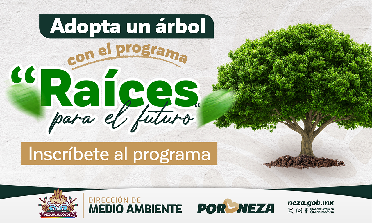 Arborizando